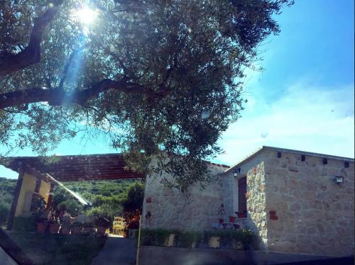 Country House at Alexandroupoli (Dikella)