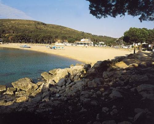 Can Miquel - image 11