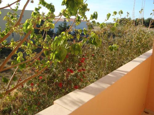 Athina - main image