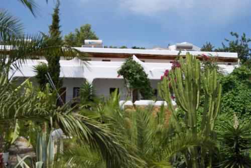 Buenavista Suites Hotel Boutique - image 5