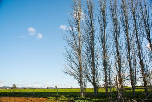 Royal Standard Farm Daylesford