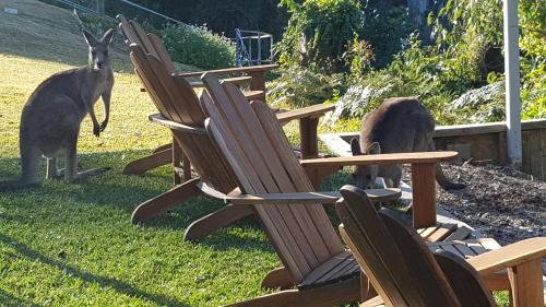 The Edgewater on Greville in Sanctuary Point