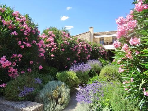 Le Jas de Gordes - Hôtel - Gordes