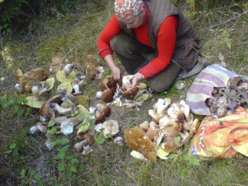 Аня Рома
