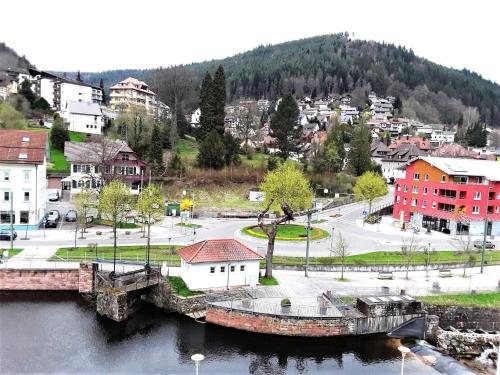 Ferienwohnung Enzblick - Apartment - Bad Wildbad