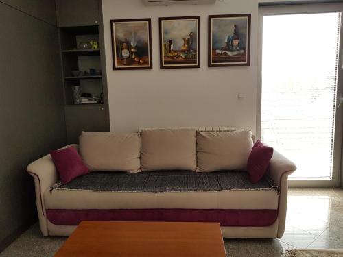 Blue point - Apartment - Kragujevac