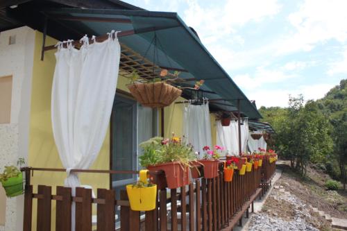Daskalov Bungalows - image 7