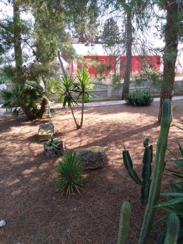 Stelle Sul Salento Holiday Home – Marina di Mancaversa, OK