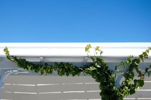 Blu Rooms - main image