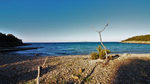  Villa Badurina in Borovići