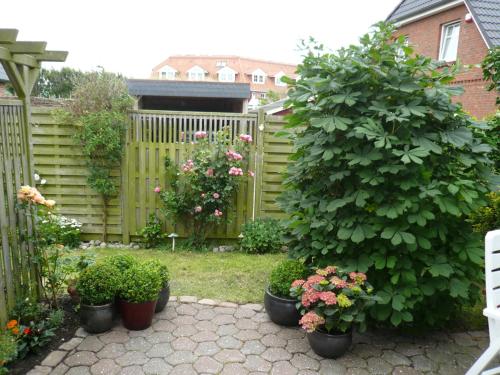 Kastanienhüs Apartement-Modell Region - image 14