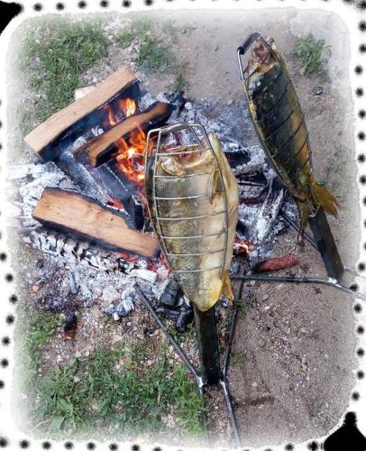 Stara Iza