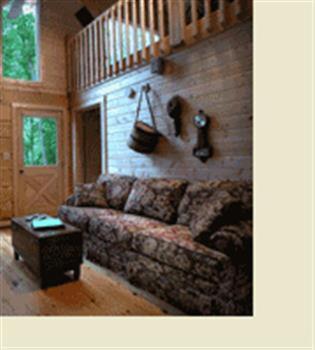 Lake Nantahala-Smoky Mountain Cabins - image 13