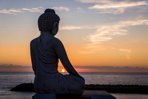 Sandhi House - Yoga & Wellness - image 4