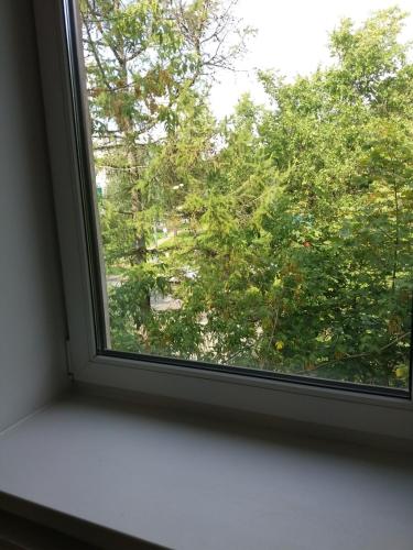 Rooms in Pesochnyi near NII - image 4