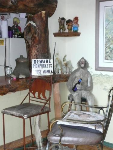 Whitebird Summit Lodge - image 7