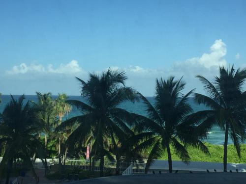 

Sunshine Beach Front Condo