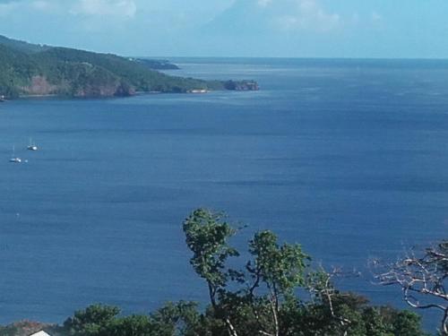 View, Nono in Bouillante