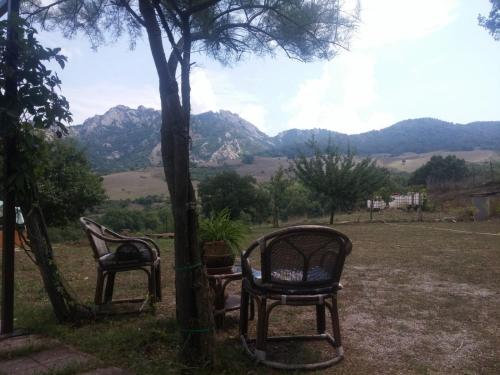  La Piccola quercia, Pension in Castelmezzano