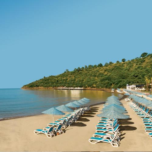 Paloma Pasha Resort - Luxury Hotel - image 9