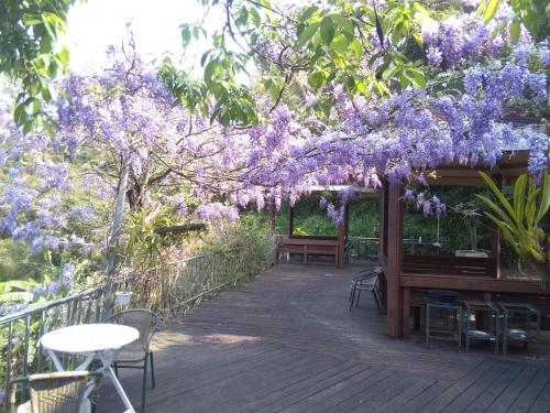 Exterior view, 內灣星光流域民宿 in Hengshan Township