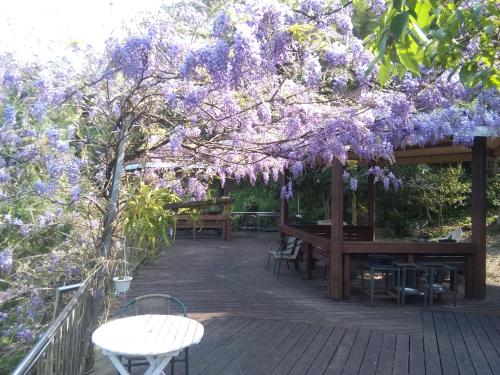 Exterior view, 內灣星光流域民宿 in Hengshan Township