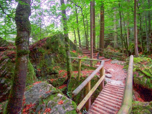 Blausee