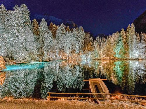 Hotel Blausee - image 13