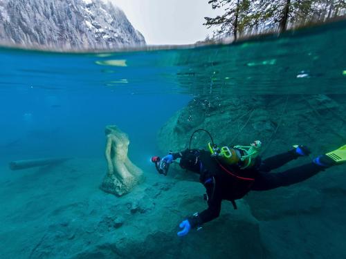 Hotel Blausee - image 11
