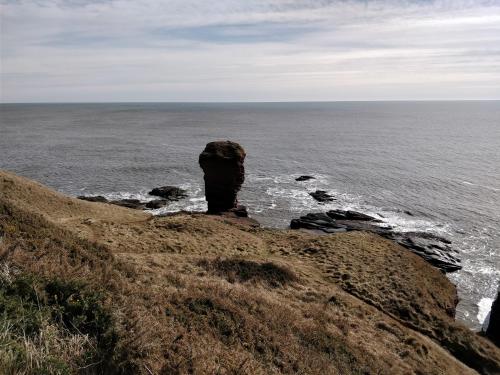 A környék, Cliff Walk Cottage in Auchmithie