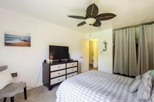 Plantation Hale - image 32