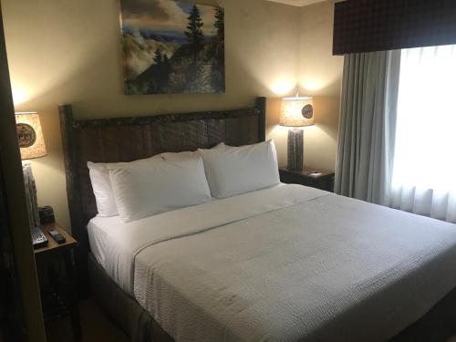 Suite, king, mountain view