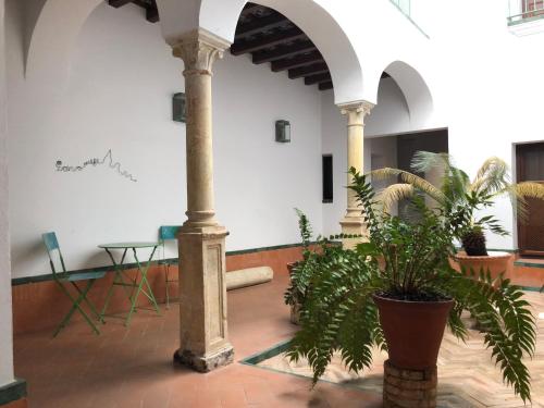 El 5 de la Hoguera, Córdoba (foto 8)
