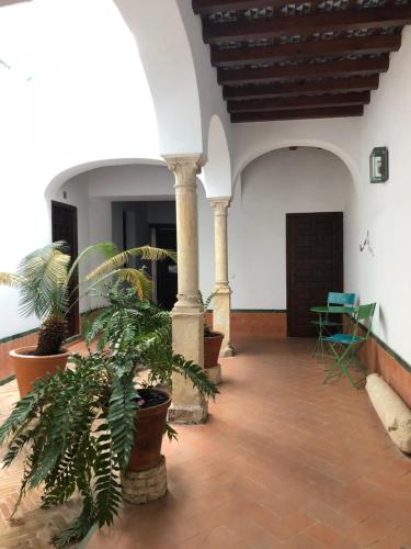 El 5 de la Hoguera, Córdoba (foto 7)