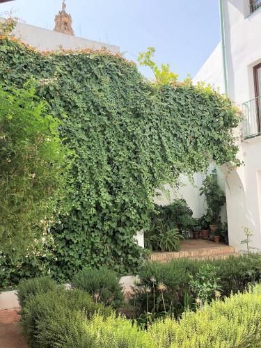 El 5 de la Hoguera, Córdoba (foto 9)