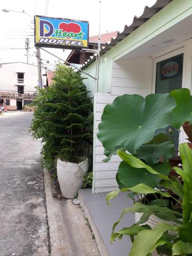 D Heart Homestay - 주변 환경