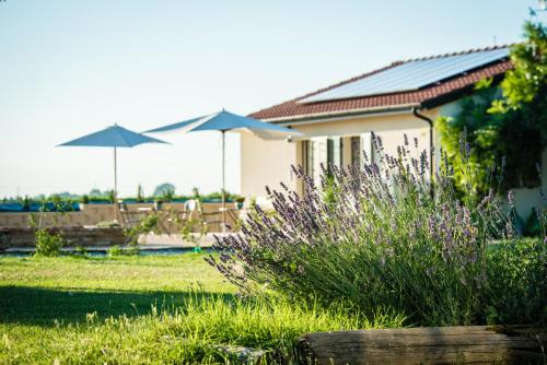  Podere Zampiera Vecchia, Imola bei Portoverrara