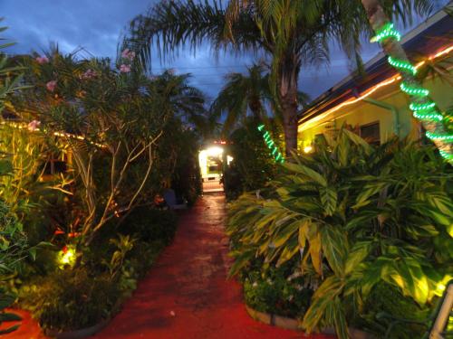 Affordable Beach Condos - One Bedroom Dlx Condos - image 9