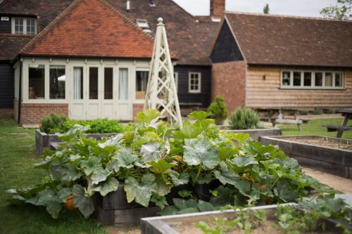 The Three Chimneys Country Pub - image 10