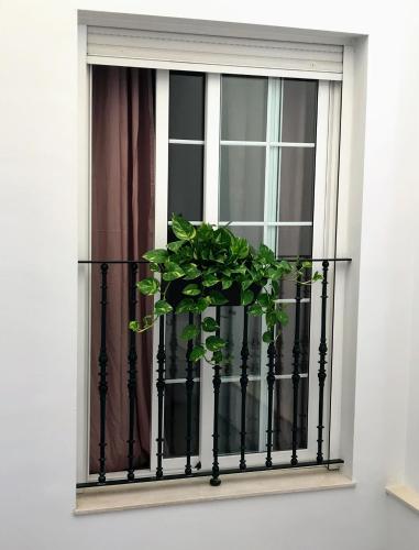 Triana Luxury Home - image 4
