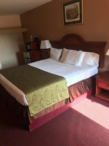 Shamrock Motel Hot Springs – Hot Springs, AR