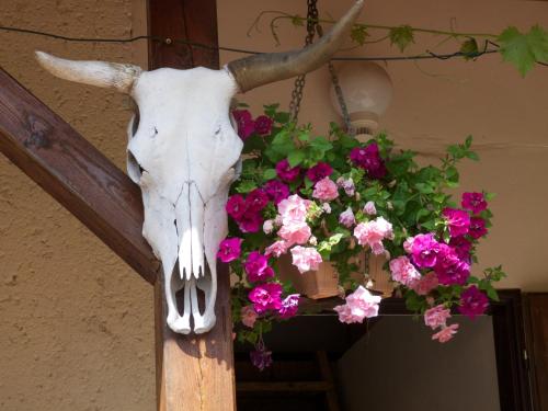 Farma Zahradnice - Accommodation - Olbramovice