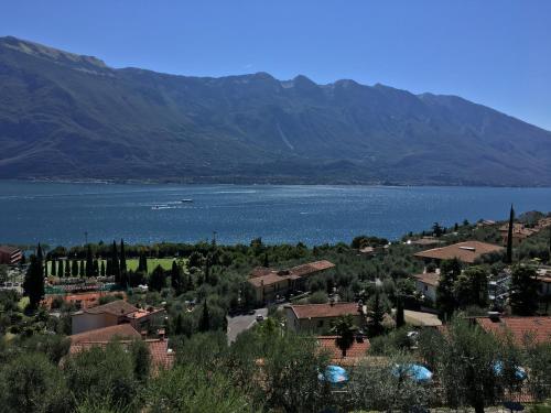 Single Room with Lake View