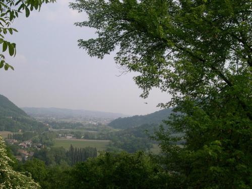 B&B Four Winds - image 9