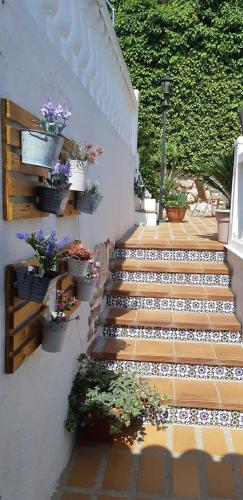 Peldbaseins, Hostal Rural Moratin in Pastrana