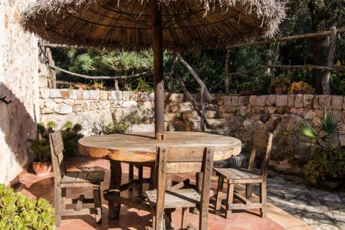 Cocons - Tap to explore photos