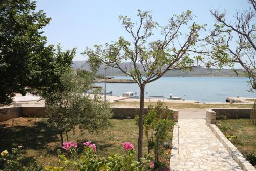 Apartments by the sea Kustici, Pag - 6355