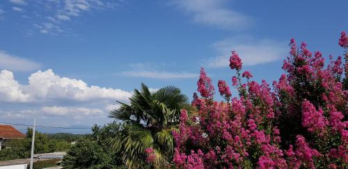 Erkély/terasz, Rooms Rafomarija in Sluzanj