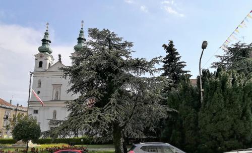 Szechenyi Apartment Sopron
