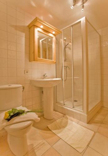 Chalet Bois - Chamonix - image 4
